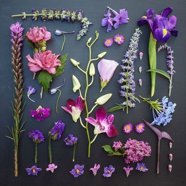 rozariycom's tweet photo. За что мы любим весну? Почему ждем лето? 🌸🌷 https://t.co/S4sGK1bvoN