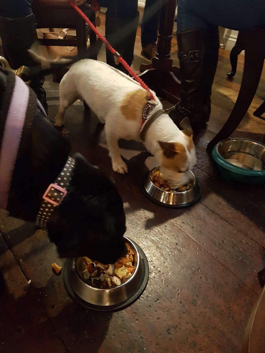 BrawnsDen's tweet photo. Doggy dinners available @BrawnsDen 
#dogs 
#doggy
#Countryside 
#mansbestfriend https://t.co/zUODZMzdzn
