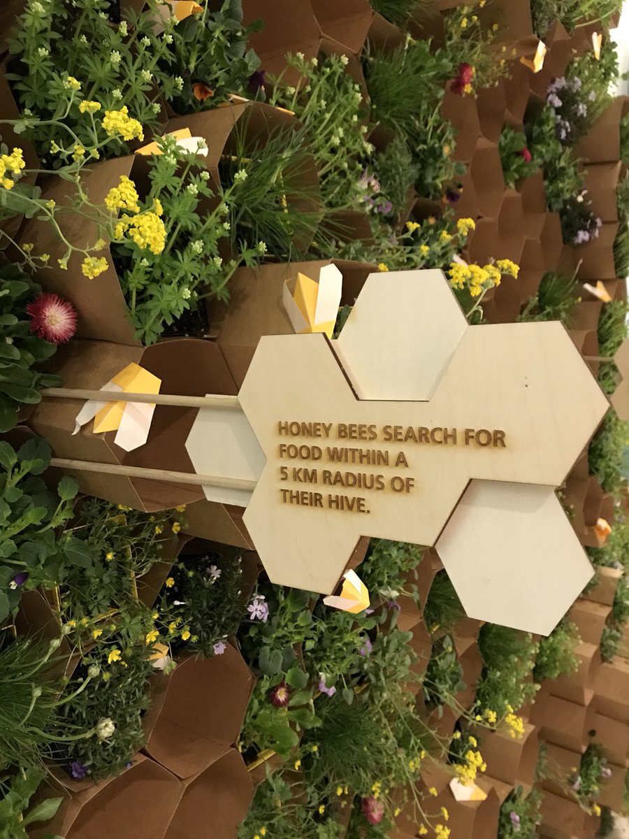 Meirav Even-Har tweet media