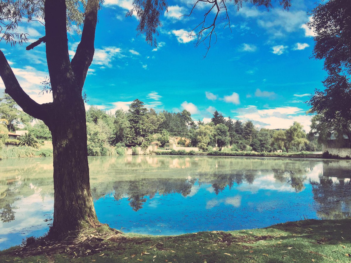 sanmiguelregla1's tweet photo. Es momento de hacer tu reservación en https://t.co/qB5G3Qe332 y disfrutar de un viaje mágico en familia!! https://t.co/zaqsAo25cZ