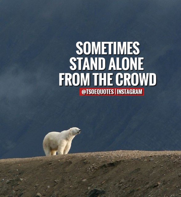 TsoeQuotes's tweet photo. Tag @TSOEQUOTES in your pics to feature your image on our quotes!
------------ #businessowners #entrepeneur #MondayMotivation #moneymaking #luxuryliving #millionairelifestyle #inspirationalquotes #tsoequotes #TSOE #quoteoftheday #sucess #motivation #focused #millionairequotes https://t.co/eQXWRHsBYD
