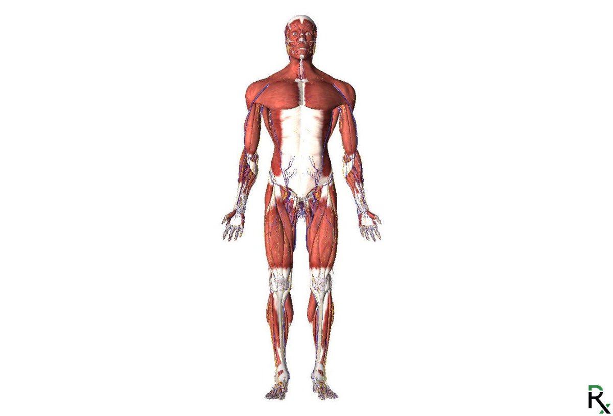KinkRx's tweet photo. Come with us on May 26th and get to know YOUR own Kinky Body with an experience physical therapist! 
Ticket and event info here: https://t.co/p3BGcAXLTR

See you there! 

#kink #seattle #bdsm #kinkrx #bdsmclass #sexpositive https://t.co/WeEiNXGEyh