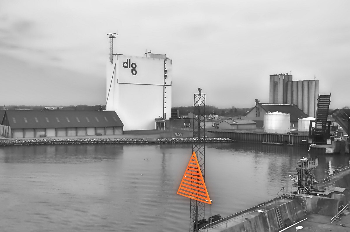 Es wird endlich Frühling! Die Verkehrsschilder leuchten auch schon. 👀