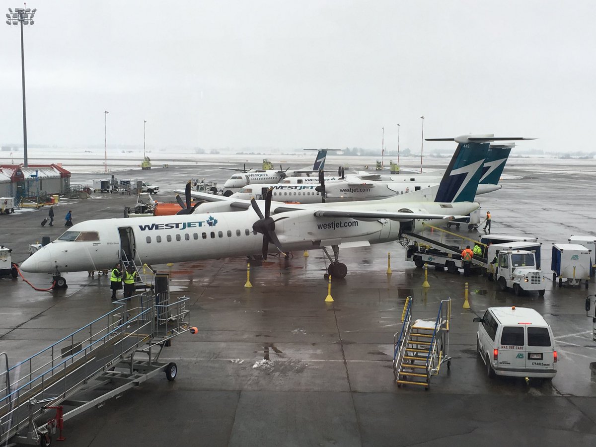 PatMurphySecura's tweet photo. My last official #CampaignChair day &amp; my flight is delayed out west. Missing @unitedwaykfla staff &amp; volunteers at today’s luncheon but sending huge thanks &amp; BIG LOVE to all of you &amp; our new leader for 2018 #EveryDollarCounts #EveryDollarCounted #WeNeverSleep #SteadyFreddie https://t.co/c3uXH20Jrx