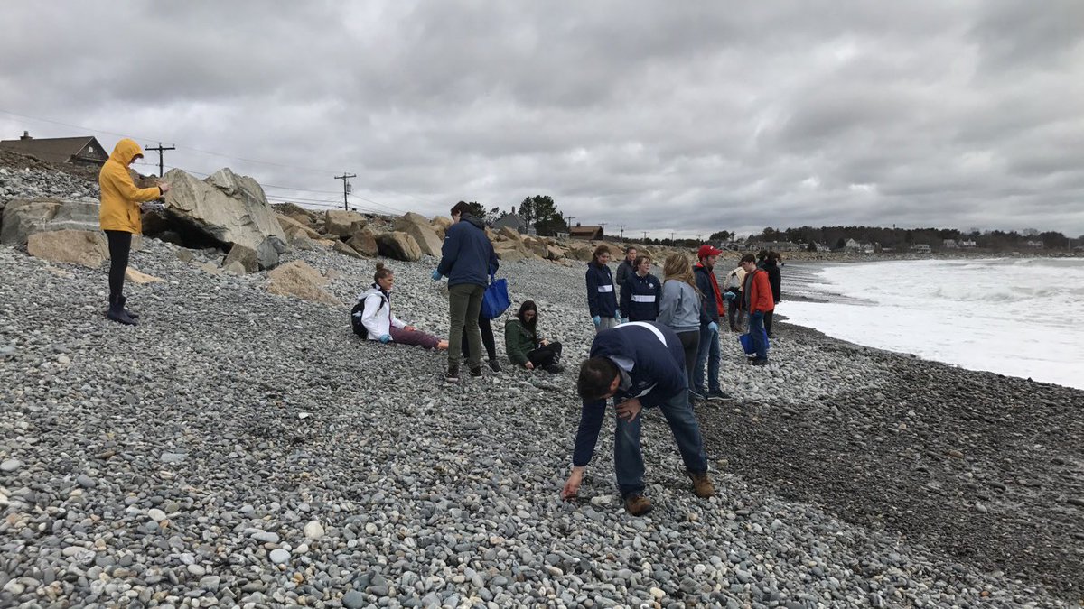EHSsenate's tweet photo. Successful clean up today! Great teamwork by all of the schools and thank you for enduring this crazy weather. Thank you @BlueOceanSoc for letting us do this and helping out! 🌎🌊🌪 https://t.co/klClMEhb5l