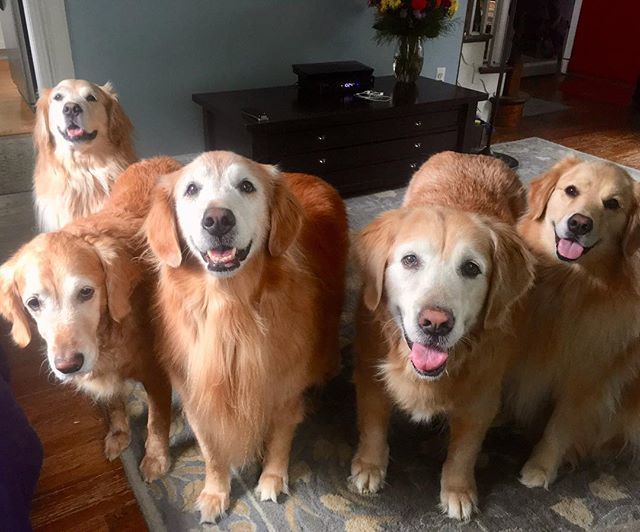 TheGoldenRatio4's tweet photo. Don’t worry - you may be feeling a little overwhelmed today but you’re doing great!💛💛💛💛💛 https://t.co/NbwPiKv8lE