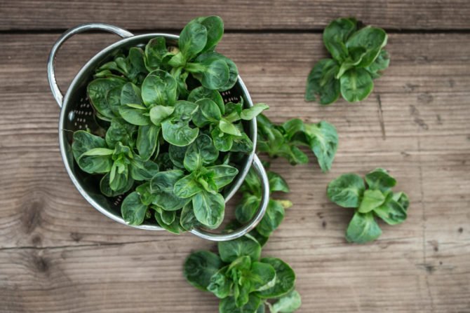 WWF_Schweiz's tweet image. 😋🍆 Neues klimafreundlisches Rezept #forgenerationstocome von unserer Gast-Bloggerin LouMalou loumalou.ch/nachhaltige-er…