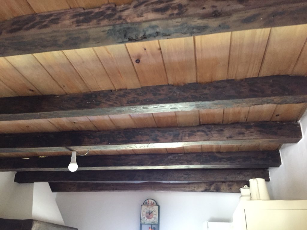 dexastur's tweet photo. Localizar la carcoma a tiempo es crucial para salud de nuestros hogares!! #tratamientomadera #carcoma #cuidamossuentorno #buscamossubienestar #dexastur #empresacontrolplagas #asturias https://t.co/7sijtYjeVd