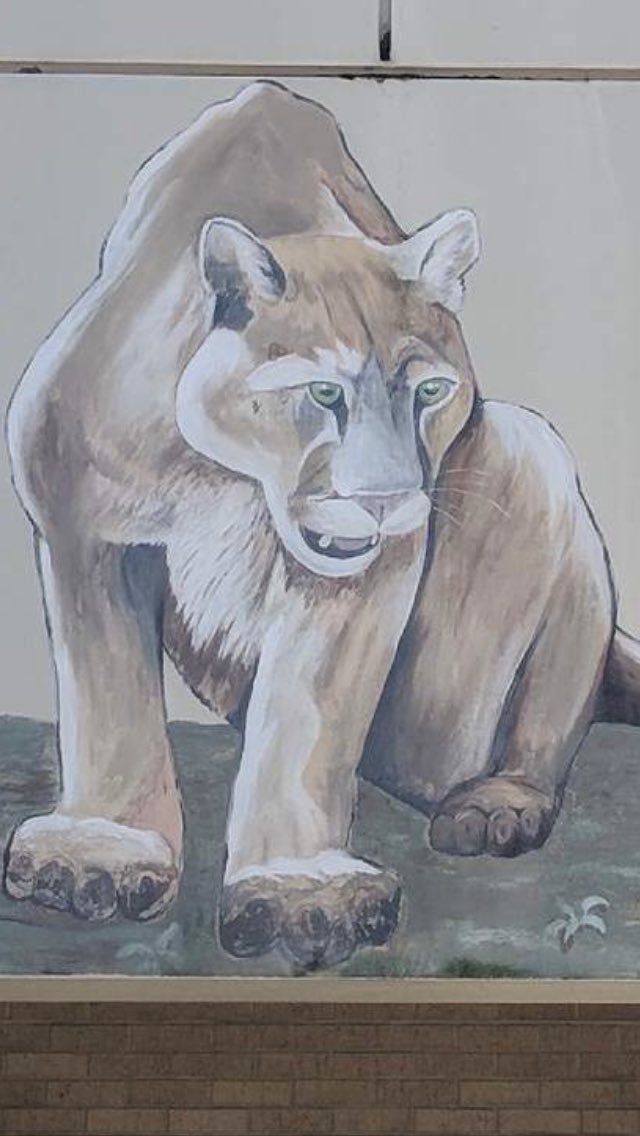 pjdaoust's tweet image. Duncan students are on the prowl with self advocacy in the SIS Gateway Pilot! They can’t hide their Panther Pride! @WBDMSPrincipal @pbcsd @Area4SuptPBCSD @SuptFennoy #sisforall #MakeitCountPBC