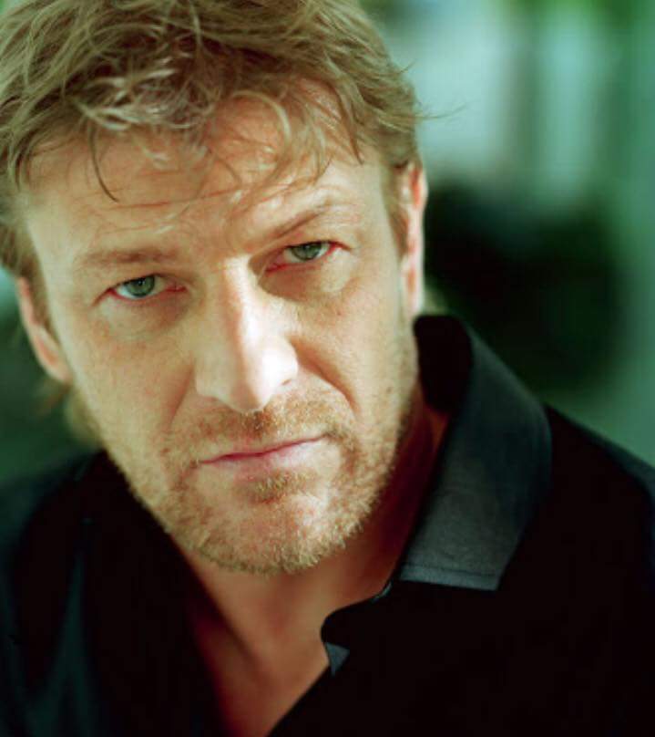 Happy birthday to Sean Bean... without whom a lot of would be duller, and less filled with  explosions. 