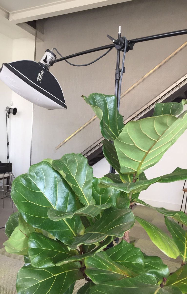 MillikenEurope's tweet image. We are having an exciting afternoon in London today. Not only is the sun shining but we are at a secret location shooting our latest #modularcarpet collection. Come and visit us .@CDWfestival in May and all will be revealed! #CDW2018 #newcollection #carpettiles #design