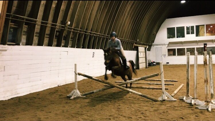 MGstablesWpg's tweet photo. Look at these stars! 💫
#lessonhorses #jumplessons #jumpweek #Jill #Nalah #Batman #hunterjumper #equine https://t.co/Am5P15uMWT