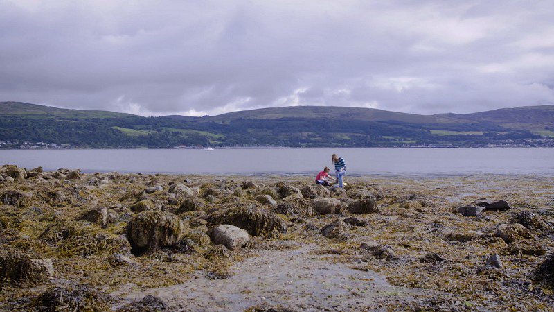 Field Studies Council tweet media