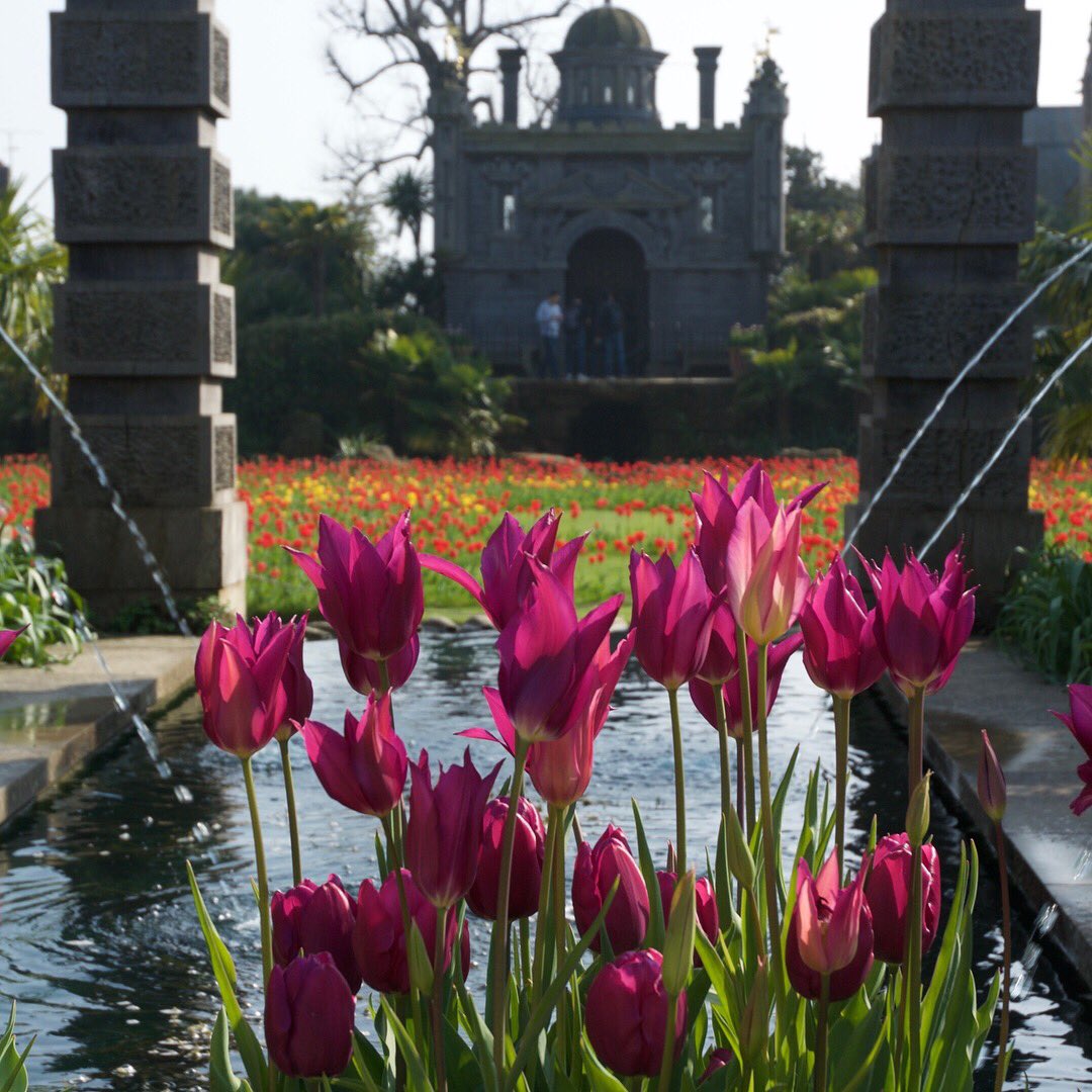 Annabel Cary tweet media