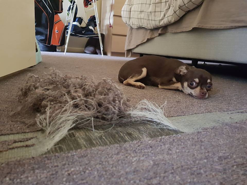 Stu Lloyd tweet media