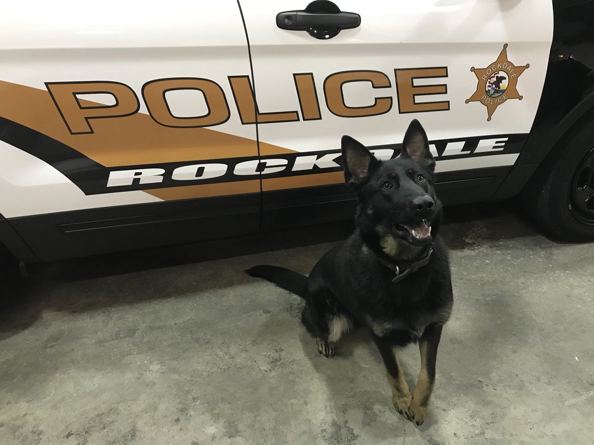 RockdalePolice's tweet photo. We would like to introduce everyone to the newest member of the Rockdale Police family. Roxie is a 1 1/2-year-old female German Shepherd that has been paired with Officer Kurt Griffing. We’re thankful for the donation from the Will County States Attorneys Office. https://t.co/mP4qzJSddD