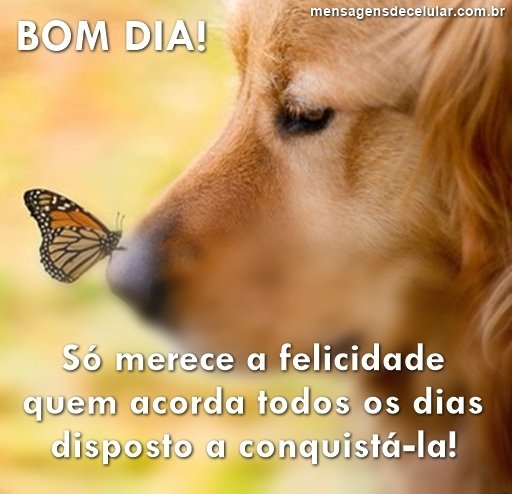 CludiaDutra2's tweet photo. https://t.co/uALwqI6yr8