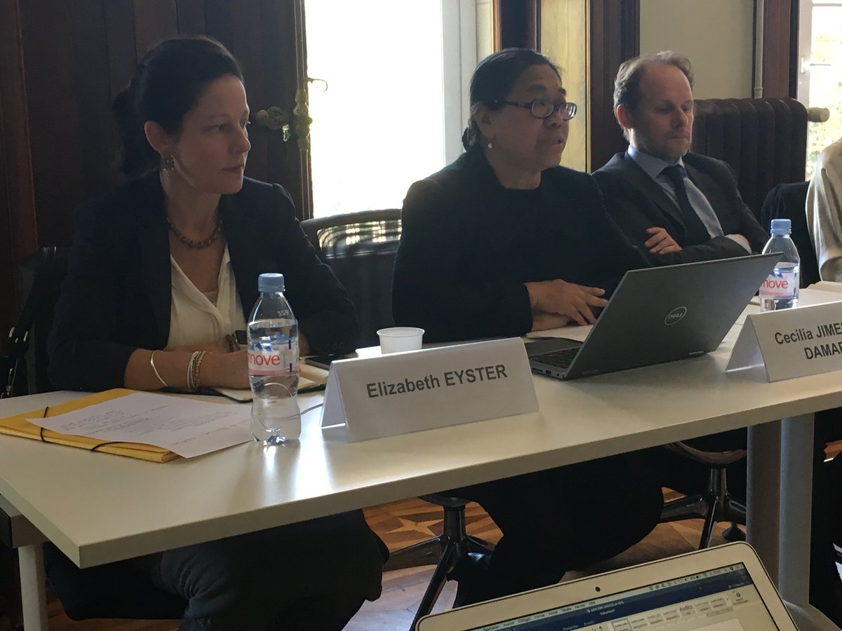 DKAmb_UNGva's tweet photo. Presentation of new Action Plan on #IDPs to follow-up on Guiding Principles: Major step fwd: underlines importance of development actors in solving protracted displacement & frames urban displacement as new challenge #GP20 #humdev #NWOW #IDP https://t.co/RdKV3SF9fq