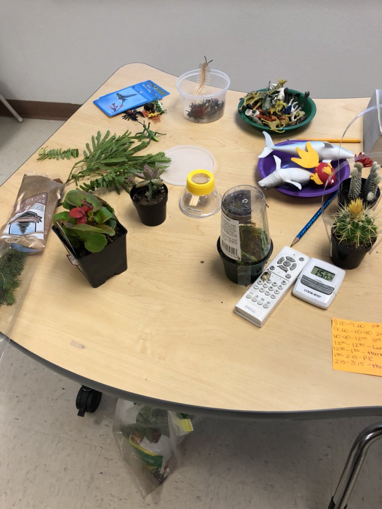 MLopez_TISD's tweet photo. Students showing me their science learning in Fonseca’s  5th grade class!#TeamSISD https://t.co/QpSk3T59cw