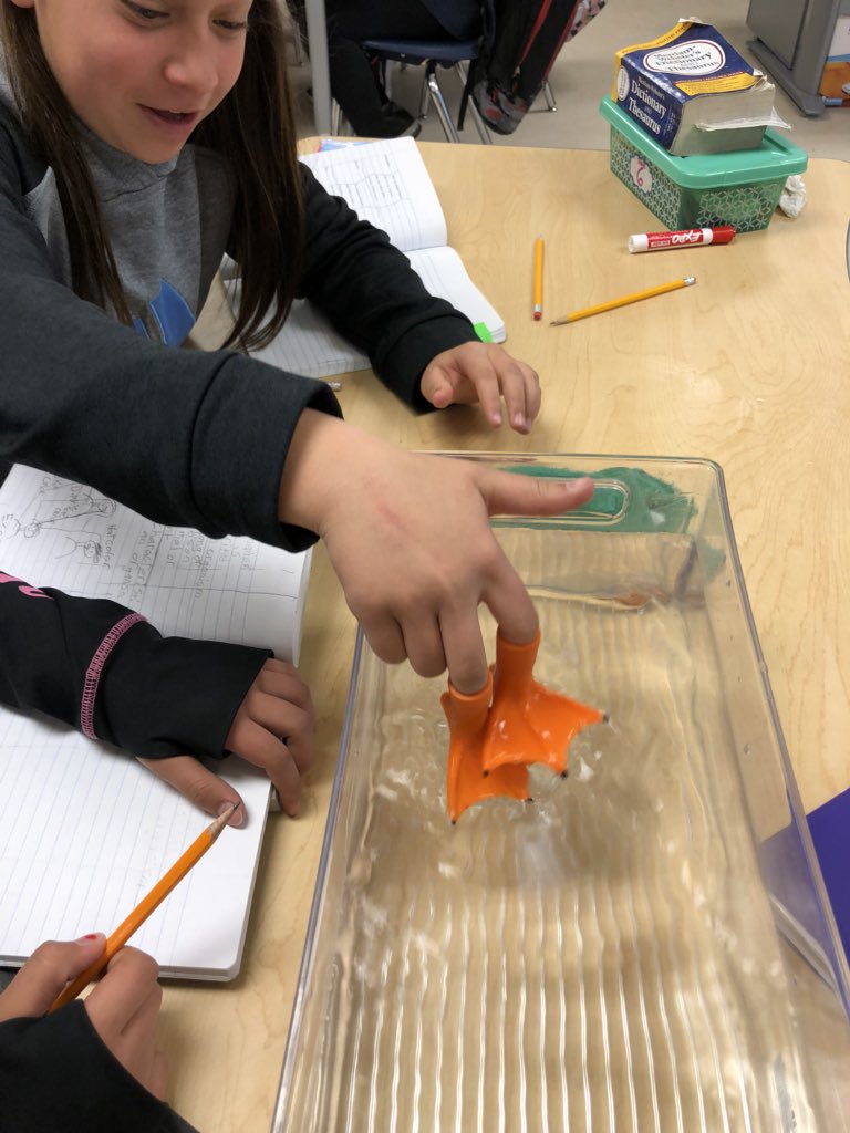 MLopez_TISD's tweet photo. Students showing me their science learning in Fonseca’s  5th grade class!#TeamSISD https://t.co/QpSk3T59cw
