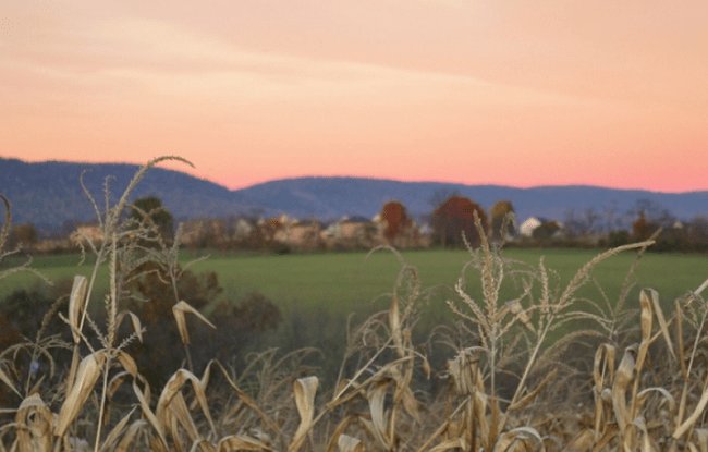 mobileworldlive's tweet image. #TMobileUS fined for rural call failures @FCC @NCTAitv @MClyburnFCC mobileworldlive.com/featured-conte…