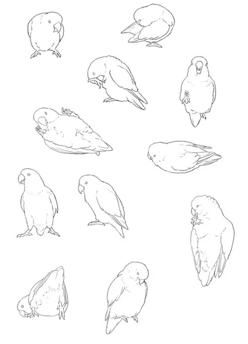 ちなみに下絵 
描き込んだのにペン入れの時点でシンプルにしちゃって勿体無いので貼っておきます 