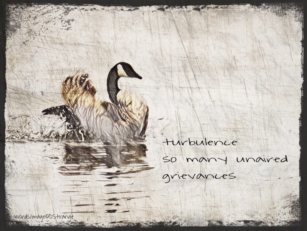 Debbie_Strange's tweet photo. #senryu - "turbulence..."

Prune Juice, July 2017

TY @stevehodge 
#haiga #3lines #mpy #poetry #IHPD #NPM2018 https://t.co/ytTCGGzEwV