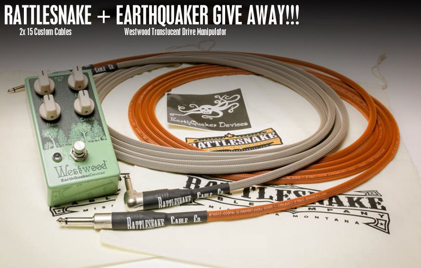 RT <a href="/RSnakeCableCo/">Rattlesnake Cables</a>: Are you guys in? Time is running out!!!! <a href="/EarthQuakerDev/">EarthQuaker Devices</a> can you give this a retweet?