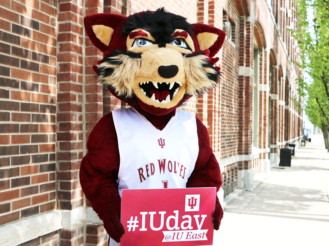 Where will you see <a href="/RufusIUE/">Rufus the Red Wolf</a> on #IUday? Look for us around town as our top wolf connects with alumni &amp; friends. If you see Rufus in the Wild, get your photo taken with him to post to social media, tagging #IUday &amp; #iueast.