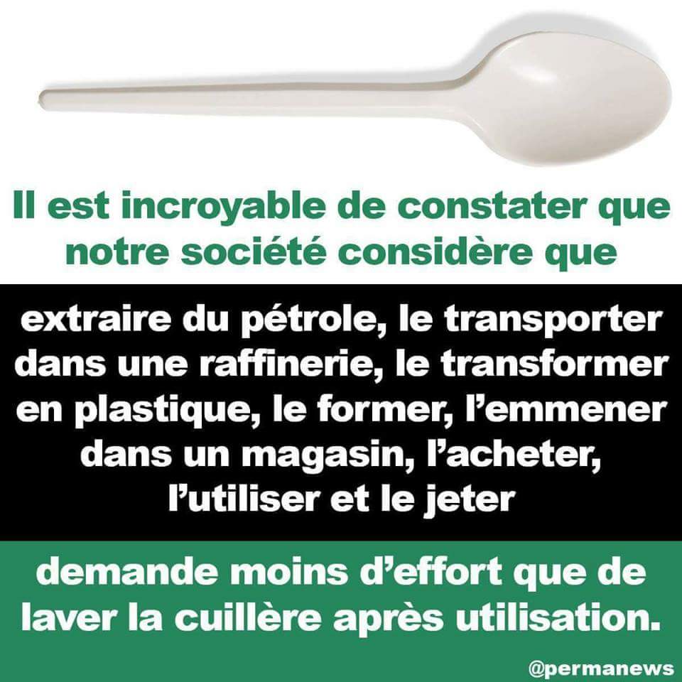 Olivia de Bie tweet media