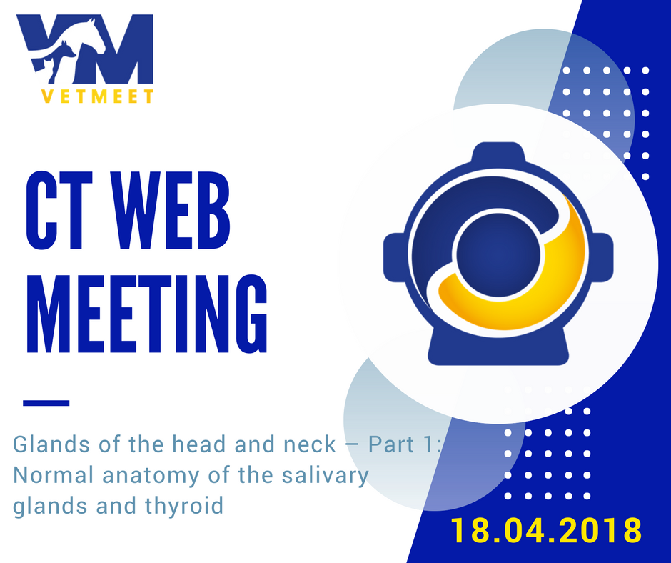 VetMeet's tweet photo. Double appointment with our #CTwebMeeting  this month! Tomorrow evening we start a new chapter and we will cover  the glands of the head and neck. You can CLICK in SYNC with us or STREAM  it later on. Join the meeting here: https://t.co/Pf1dtAQHnA #VetMeet #VeterinaryImaging https://t.co/1en4vZ3dLt