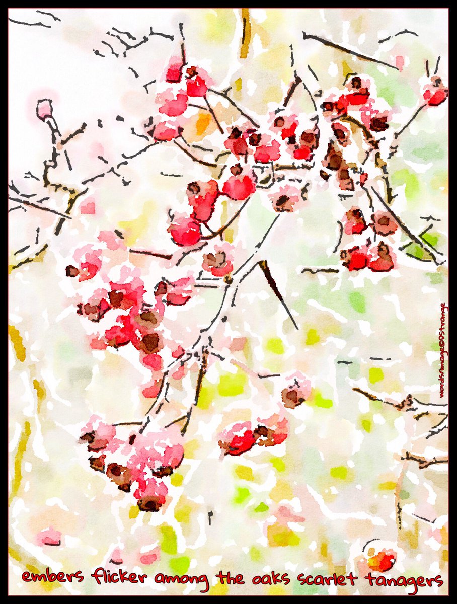 Debbie_Strange's tweet photo. #monostich - "embers flicker..."

Akitsu Quarterly, Fall 2017

TY Robin
#haiga #haiku #mpy #poetry #IHPD #NPM2018 https://t.co/B70RXyaRLc