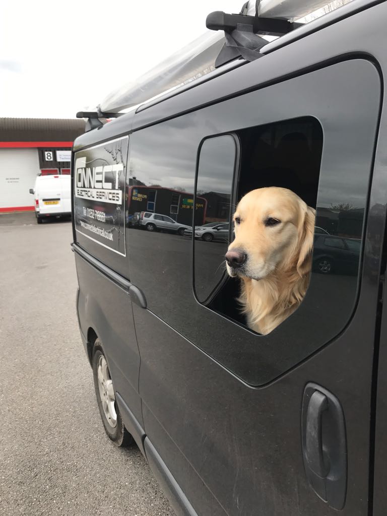 SecurityFireRec's tweet image. My stepdad hired a new apprentice for Connect Electrical Services! Responsibilities include staying in the van looking cute 😄