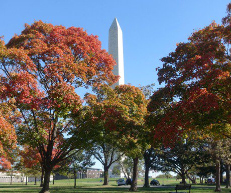 luxurytravel's tweet photo. 6 top tips for a perfect weekend in Washington, DC https://t.co/oPN8jQqKbf https://t.co/cu3jenKCIy