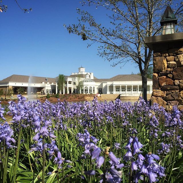 TWadeBerry's tweet photo. Nice view for a fantastic conference. How awesome to be able to walk around a botanical gardens between speakers! #prdistilled #hunstvillebotanicalgardens #gardens https://t.co/FgRUTMYXWA https://t.co/B12AXSz802