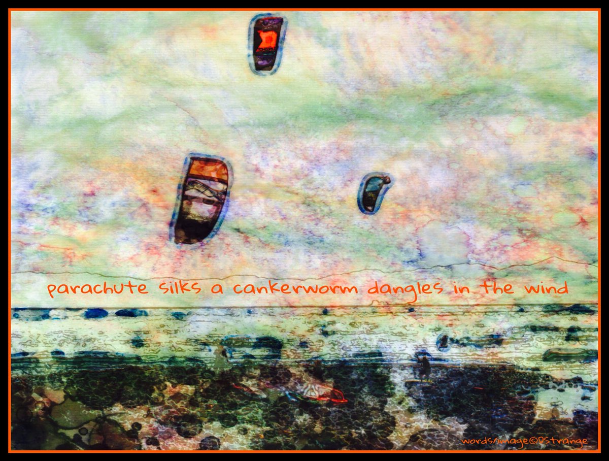 Debbie_Strange's tweet photo. #monostich - "parachute silks..."

Gnarled Oak, September 2017

TY @gnarled_oak 
#haiga #haiku #mpy #poetry #IHPD #NPM2018 https://t.co/7Wna5QZ6rF