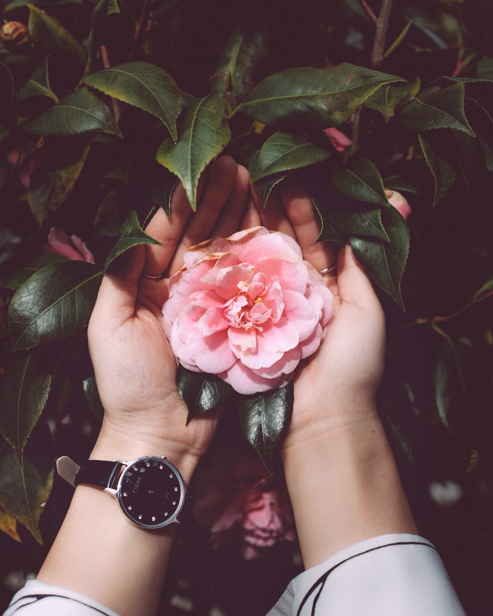 fjordtimepiece's tweet photo. Tuesdays with @chic_dev in the NIKLAAS (FJ-6041-02) available on https://t.co/HOb3wHhMPv with free worldwide shipping. #FjordTimepieces

Shop Now: https://t.co/GVNwlapRFG https://t.co/HtxJhgGqxv