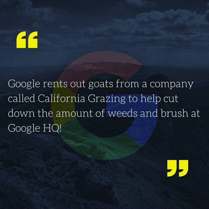 TechnicalTour's tweet photo. #Techfacts #techfacts #asadwrites #tech #technology #technologyfacts #facts #google #googlefacts #fact #like #love #follow #follow4follow #like4like #surprisingfacts #techblog #personalblog #wordpress #coding #techfreaks #instagram #instagood #instamusic #techno #techie https://t.co/Iw0ISiwjL6