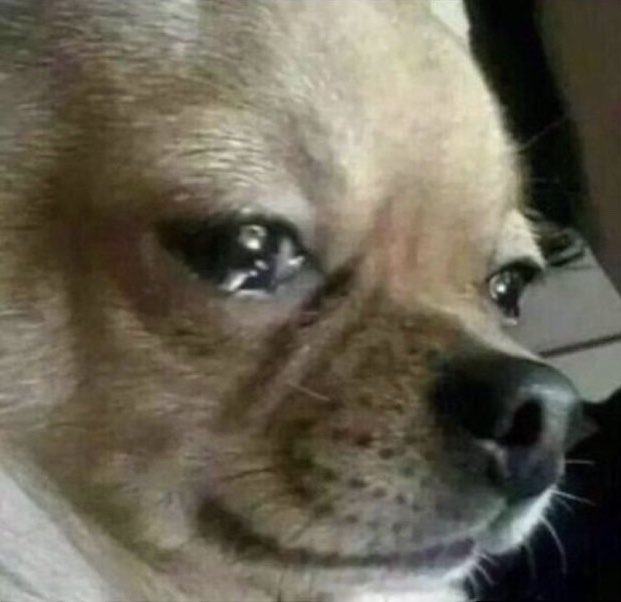 ryan_bradley4's tweet image. Me when I see and talk to producers about the technicalities of their music and realize Idk shit #noobproblems #sos #rip