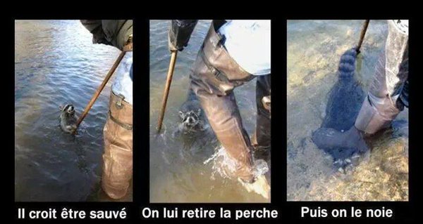 _Naeray's tweet photo. Chaque année, ce sont plus de 56 millions d'animaux tués au nom de l'industrie de la fourrure.
Après tout, c'est toujours moins cher que la production de fourrure synthétique.. https://t.co/jjn5r0MoJU