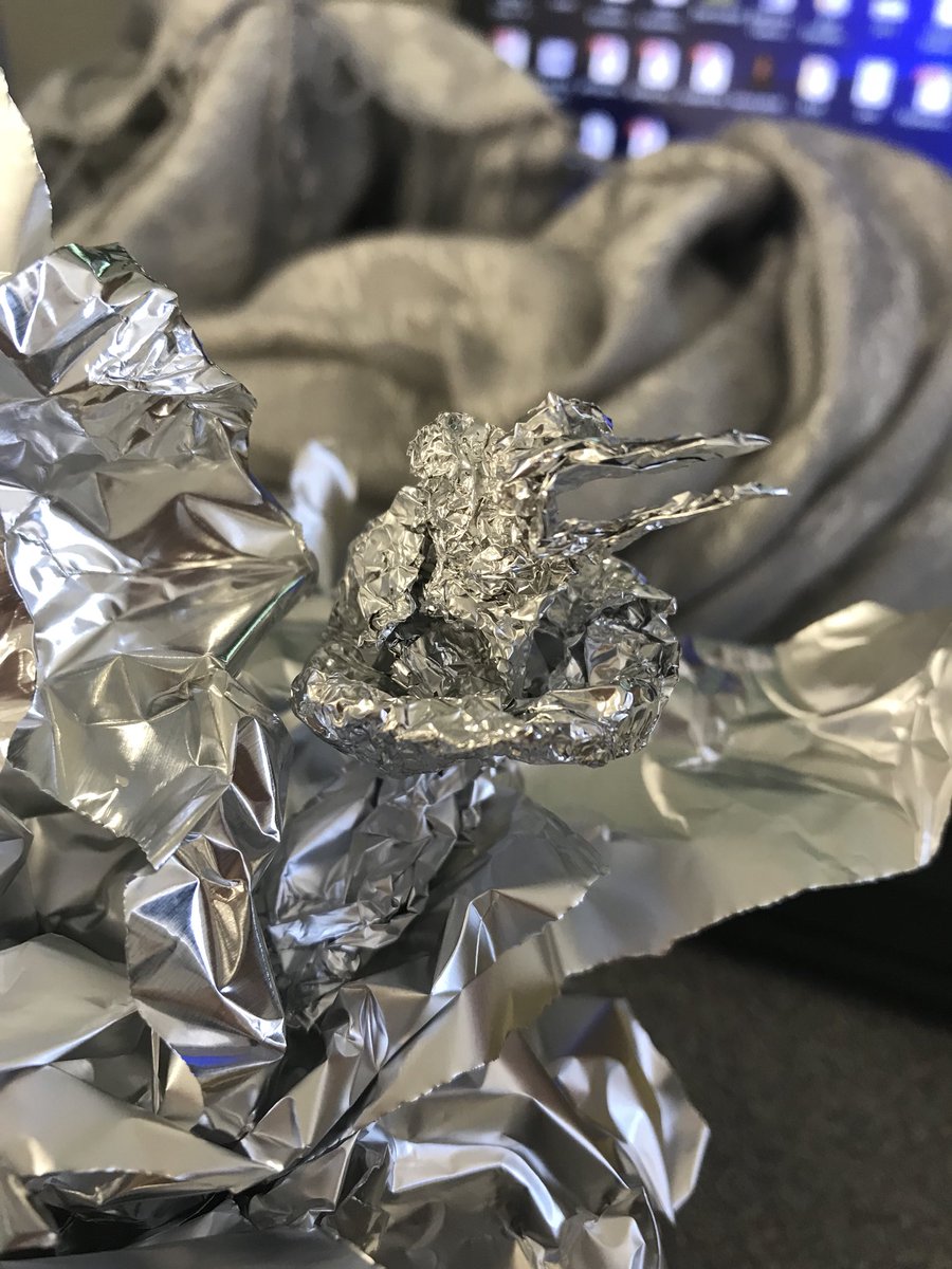 PalmettoPreppie's tweet image. Where do birds go at night? #destroyingthebox @mrdearybury @CHELibraryLady @CHEPrincipal @joannah_sampson @BCSDTechTeam #BCSDTechPLC