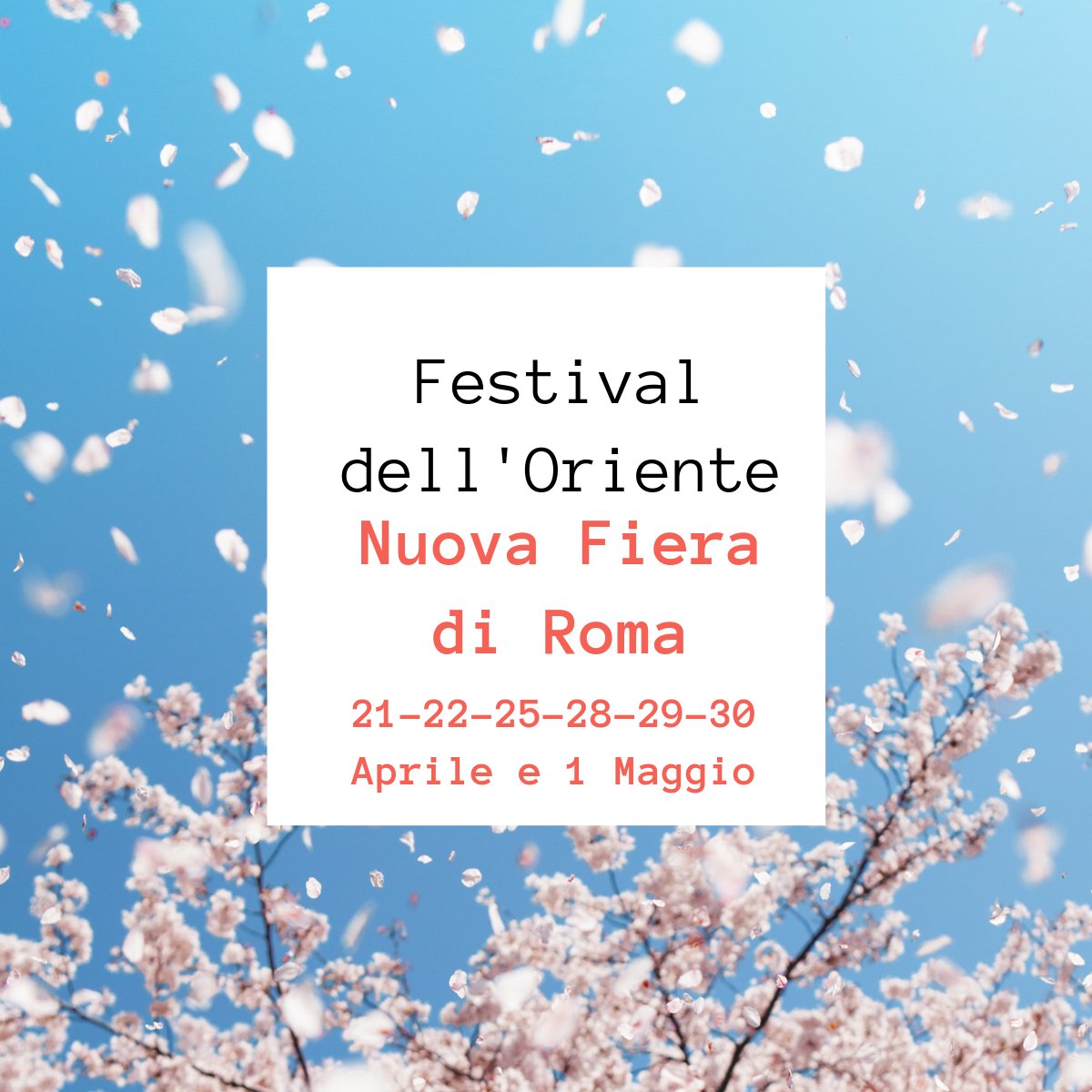 FdellOriente's tweet photo. il Festival dell'Oriente ritorna a Roma con tantissime novità
https://t.co/jtRaWtCAnI https://t.co/CTyVXJDgEg