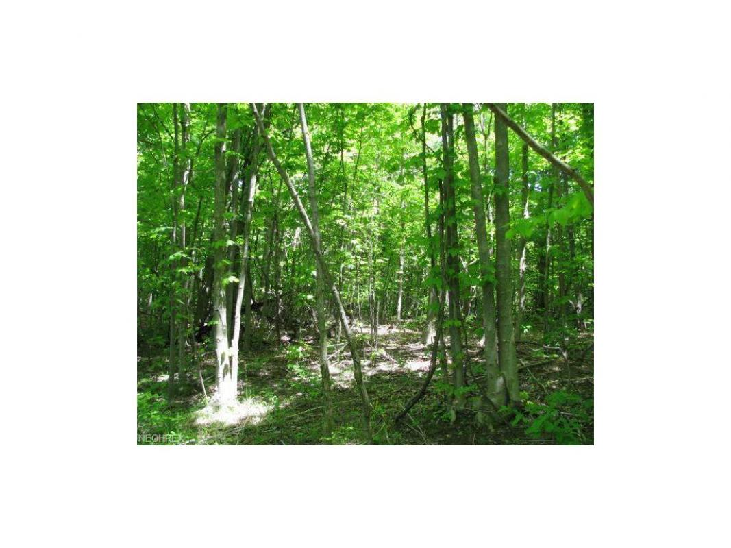 traditionsoh's tweet photo. We are looking for a buyer on 23  Flyfisher Way #Chardon #OH  #realestate https://t.co/gpfaOMa55C https://t.co/nP6WfnKBIH