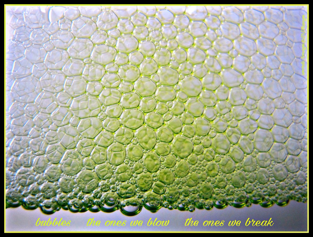 Debbie_Strange's tweet photo. #senryu - "bubbles..."

Failed Haiku Journal of Senryu, August 2017

TY @SenryuJournal 
#haiga #3lines #mpy #poetry #IHPD #NPM2018 https://t.co/1XJaFGZm6z