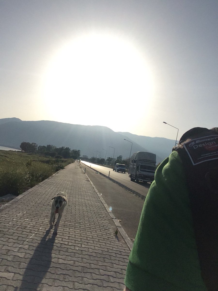 tunabet's tweet photo. #walk #dogs #friend #happiness #smile😊 // yürüyüş arkadaşım :)) (@ Hasyurt Sahil in Finike, Antalya) https://t.co/kNPnkAAtdc https://t.co/782CwfS1tZ