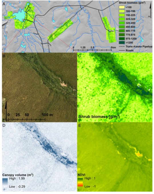 ORNLDAAC's tweet photo. #NewDAACData: High-Resolution Shrub Biomass and Uncertainty Maps, Toolik Lake Area, Alaska, 2013 @NASA_ABoVE
https://t.co/MlpKPOwalk https://t.co/5q58Sn5K61
