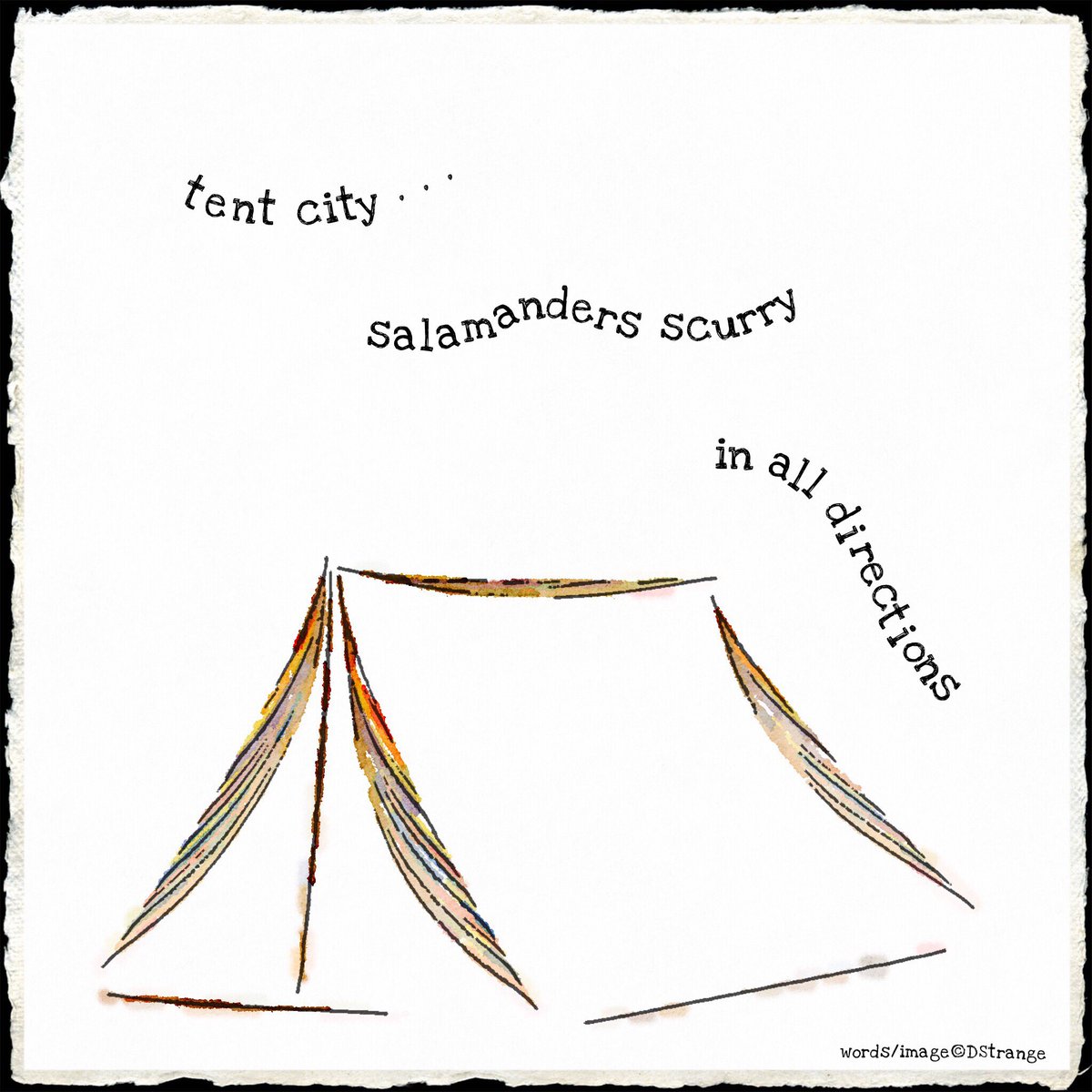 Debbie_Strange's tweet photo. #haiku - "tent city . . ."

Kokako, September 2017

TY Patricia
#haiga #3lines #mpy #poetry #IHPD #NPM2018 https://t.co/q0VYlI2FjA