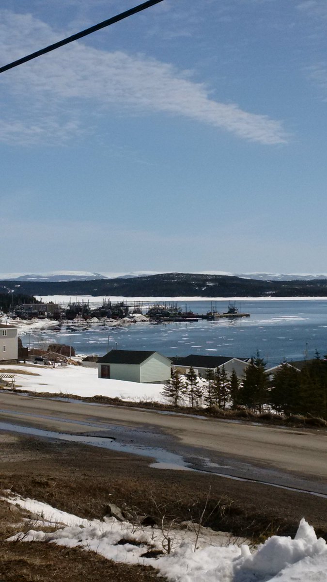 JoeBowdenNL's tweet photo. Giving a presentation in beautiful #portsaunders today on #budwormtracker @SpicerHeather @emilyowenz https://t.co/PbF0W8nWAw