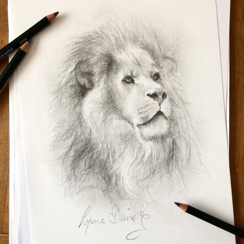 My 26 minute sketch for the 2018 ‘Sketch for Survival’ (Currently an elephant is poached in Africa every 26 minutes) more information at explorersagainstextinction.co.uk 
@realafrica #realafrica #lion #lionsketch #sketch #sketchforsurvival #wildlifeart #wildlifeconservation