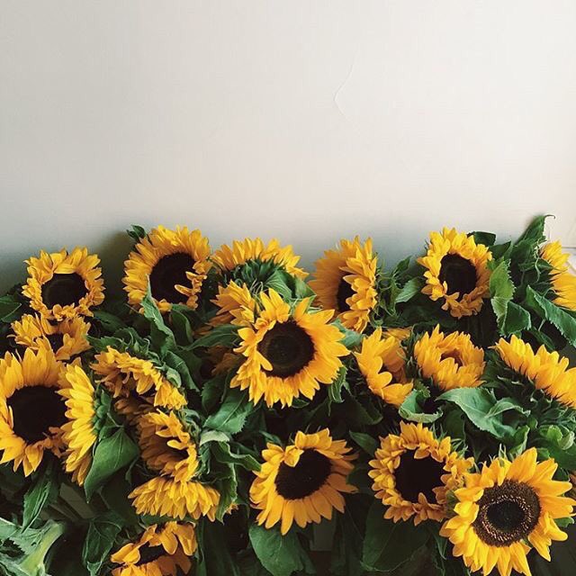 lulyhong's tweet photo. มารู้จักผมกันนน🌻🌻🌻 https://t.co/dKOrrWMaZb